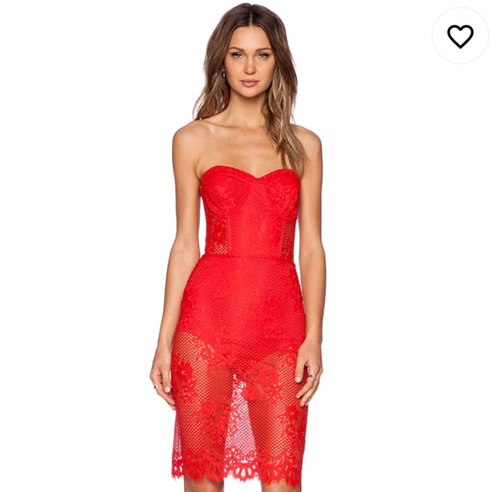 For love and lemons garden isle lace corset dress